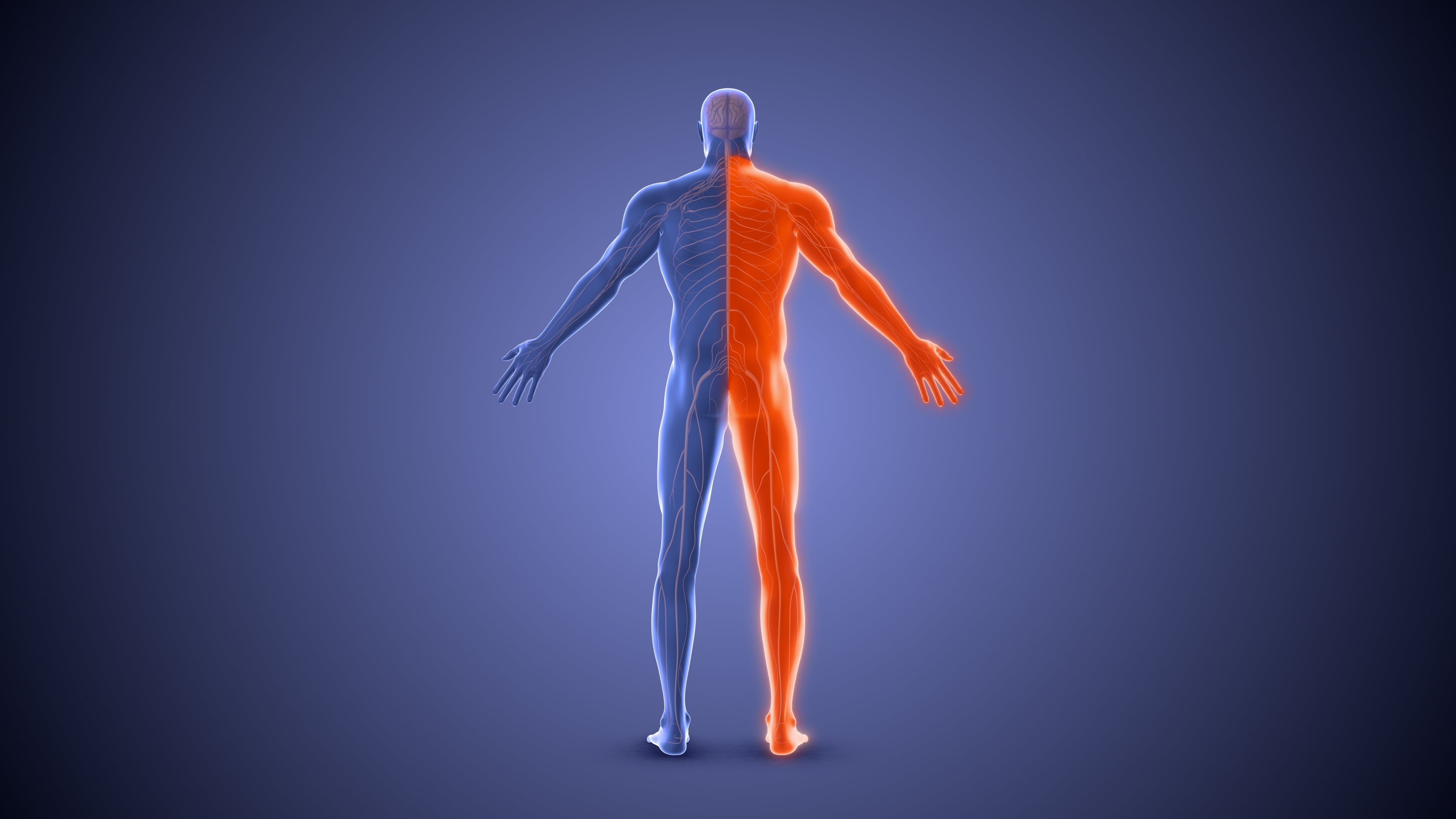 Shorter Limb
