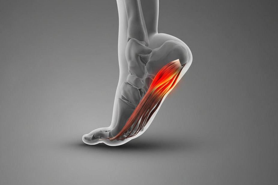 Heel & Plantar Fascia