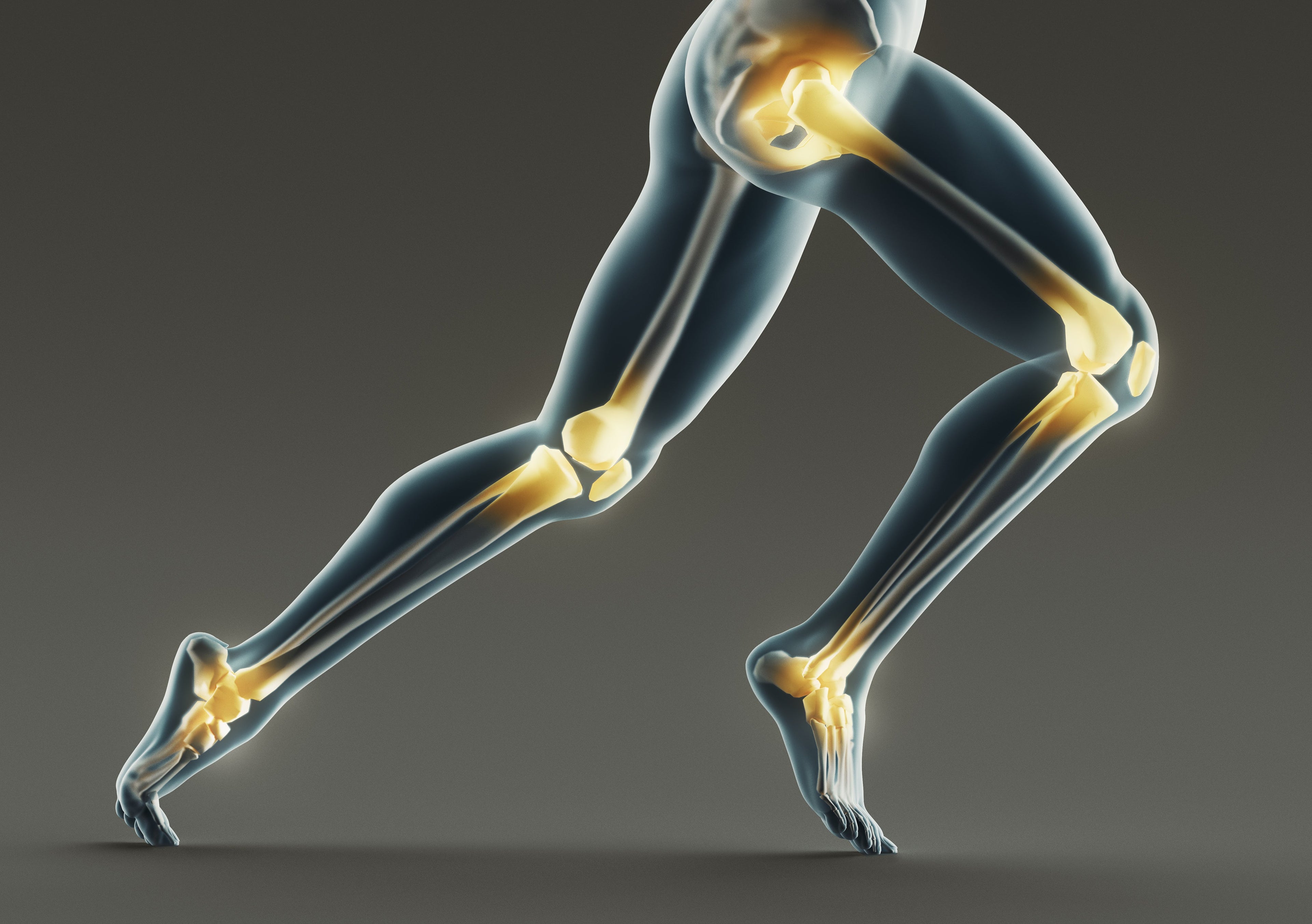 Back / Hip / Knee