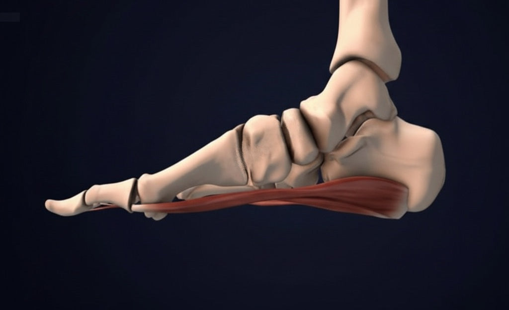 Flat Feet