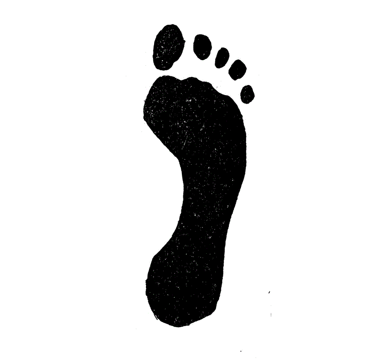Pes normalis (2).gif